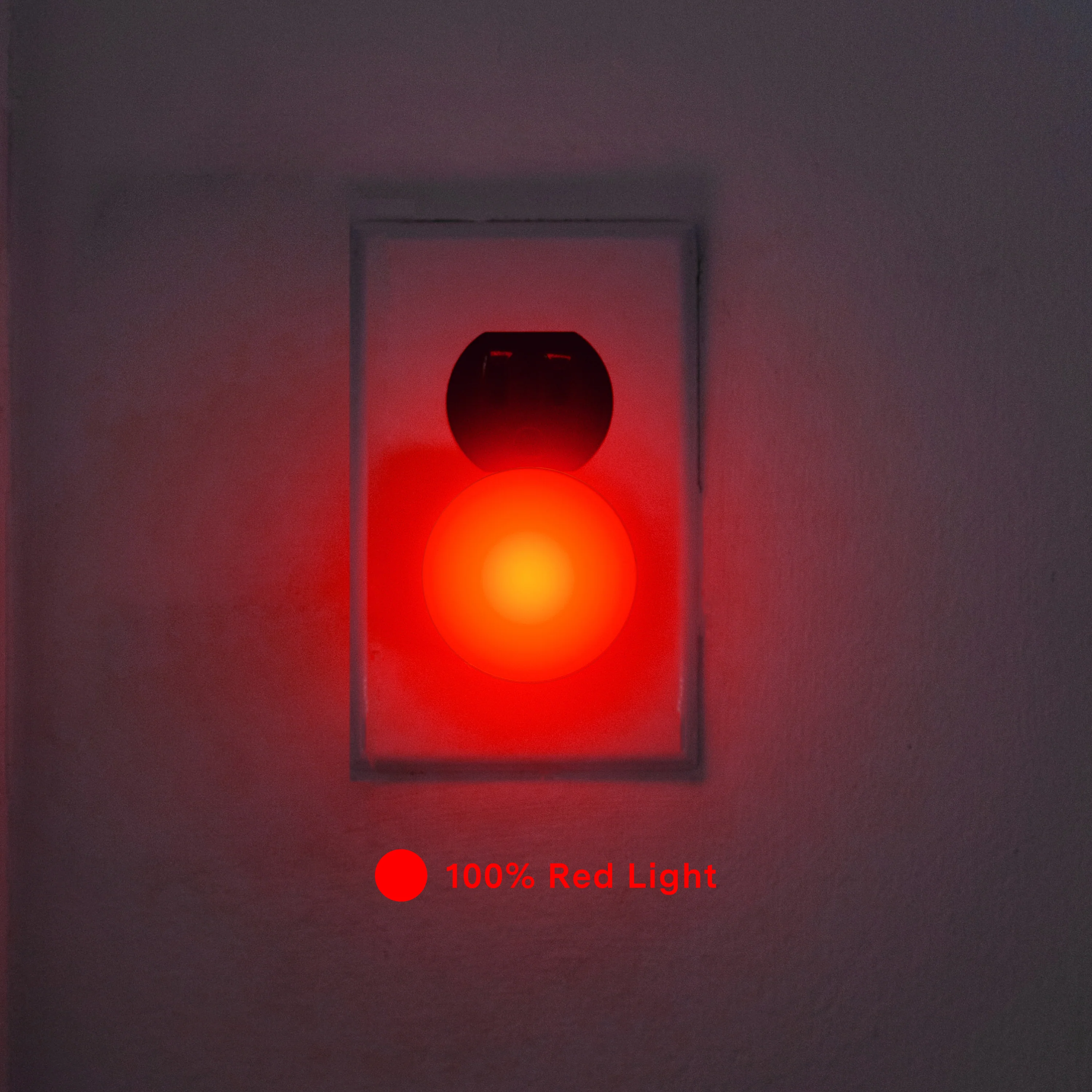 Red Light Bundle - Image 10