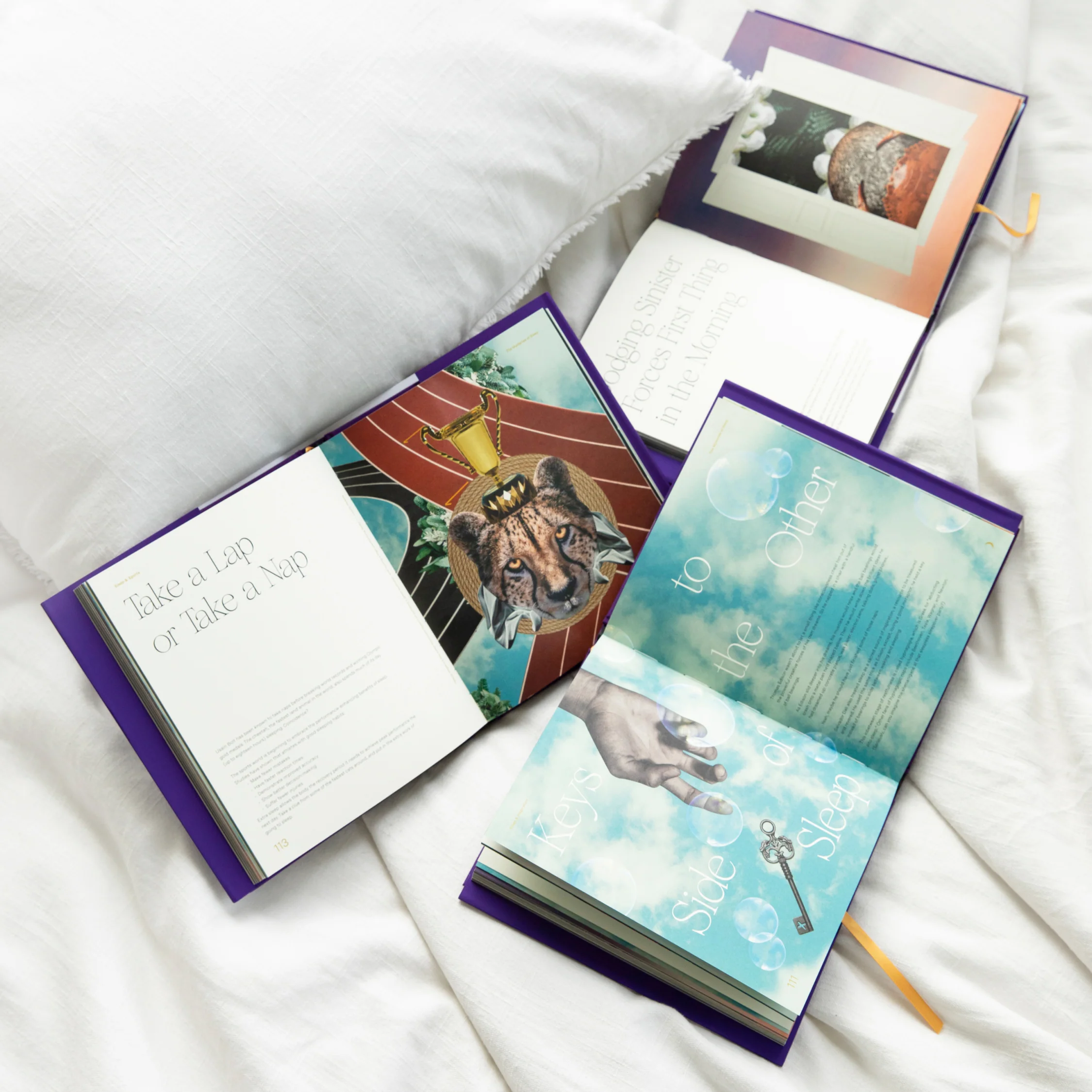 The Mysteries of Sleep Book - Image 5
